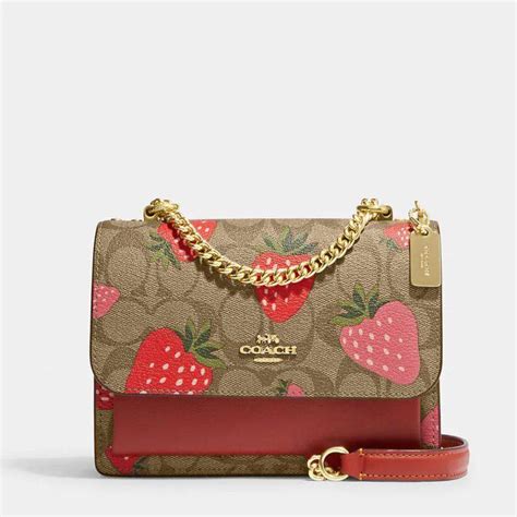 coach bag fruit